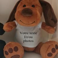 Chien nounours