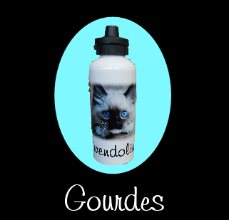 Gourdes 1