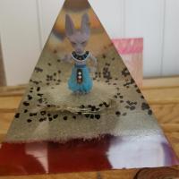 Img 20211203 193502