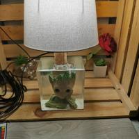 Img 20211218 143916
