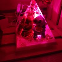 Img 20211218 192509