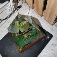 Img 20211222 082723