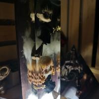 Img 20211229 180960