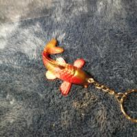 Img 20220304 215022