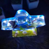 Img 20220307 081654