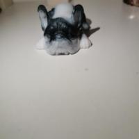 Img 20220331 170841