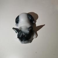 Img 20220331 170844