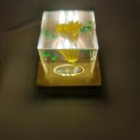 Img 20220411 114702