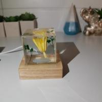 Img 20220411 114713