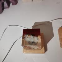 Img 20220411 114719