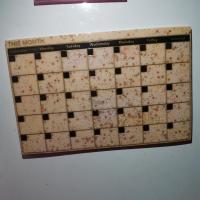 Img 20220703 102109