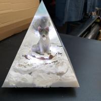 Resized 20210831 135821