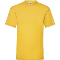 Tournesol